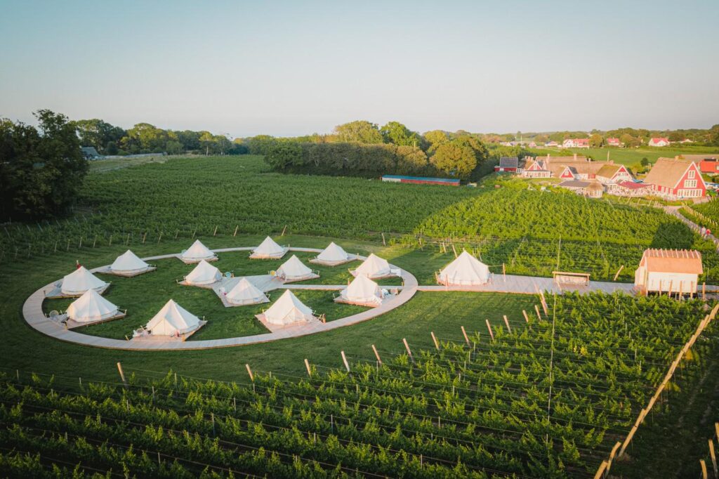 Glamping at Arilds Vingård