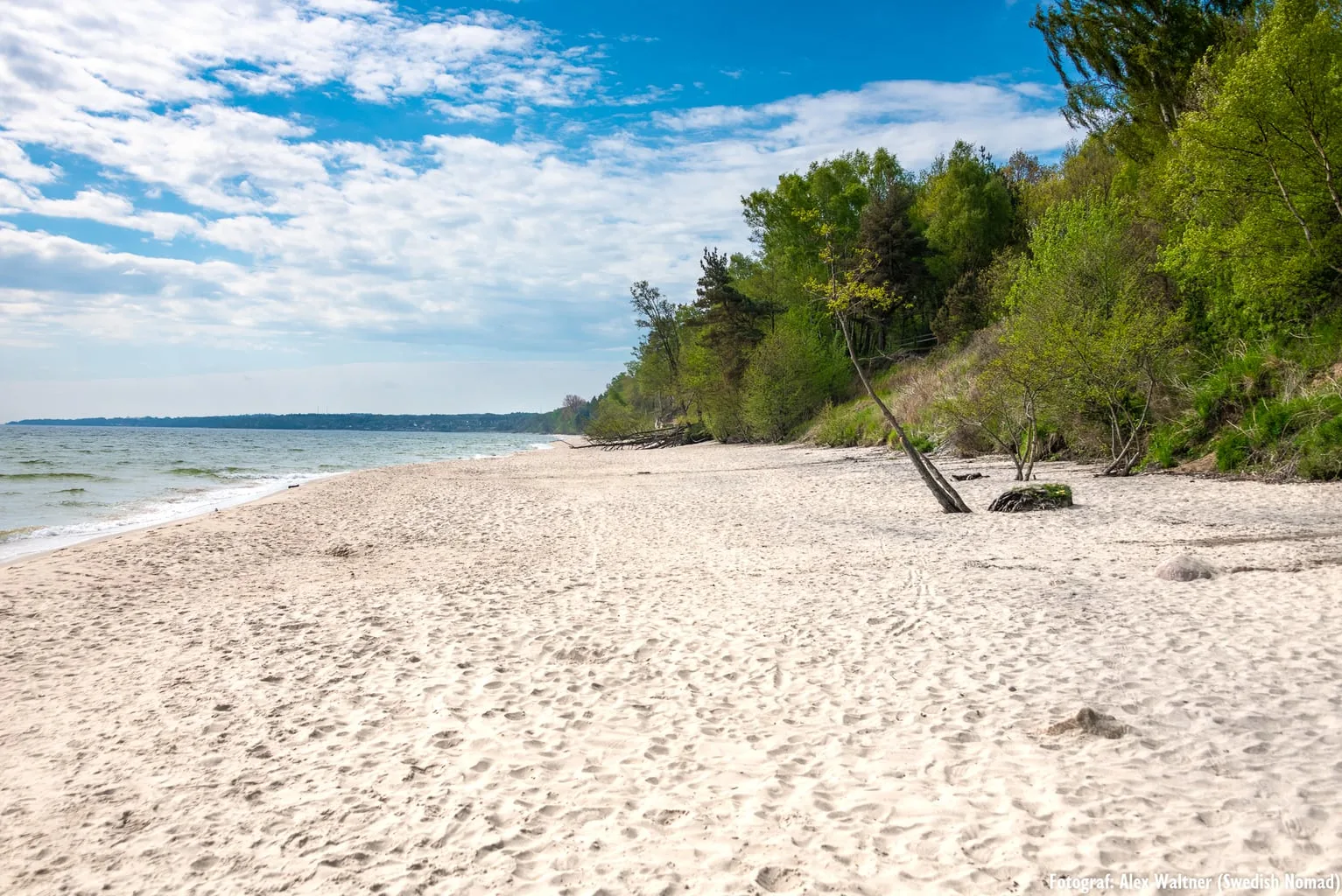 The best beach in Sweden