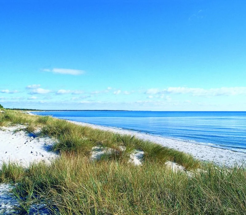 Beautiful seaview during summer in Skanör-Falsterbo